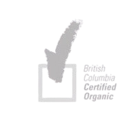 Logo01_1-removebg-preview