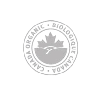 Logo07_1-removebg-preview