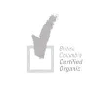 Silver check mark above a square box with text reading 'Batch, Custom, Certified Organic', highlighting organic certification in cosmetics manufacturing.